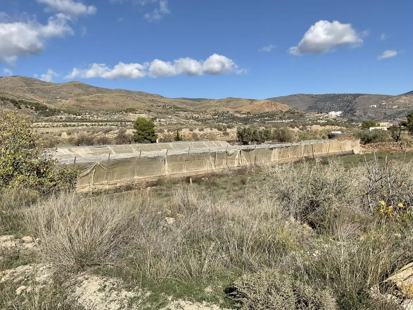 Land for sale in Padules