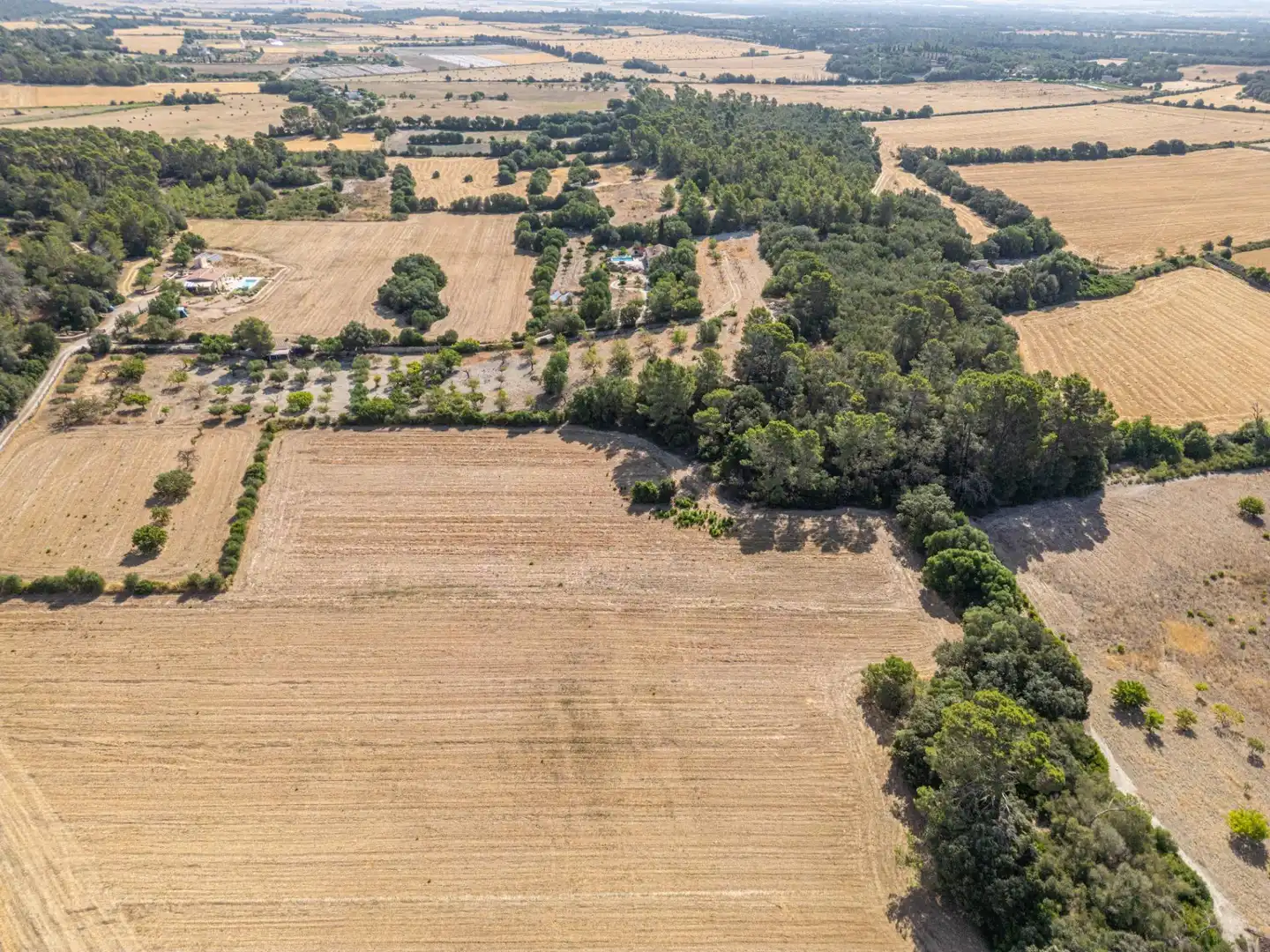 Terrain rustique à vendre à Diseminado Son Mora 199