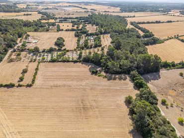 Terrain rustique à vendre à Diseminado Son Mora 199