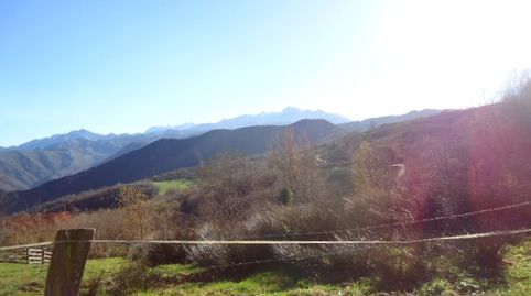 PARCELAS A 10 MIN. DE CANGAS DE ONÍS, immagine 5