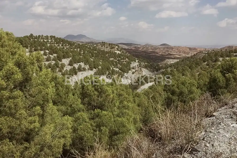 Casa o chalet en venta en Puerto Lumbreras con Calefacción, Jardín privado y Terraza