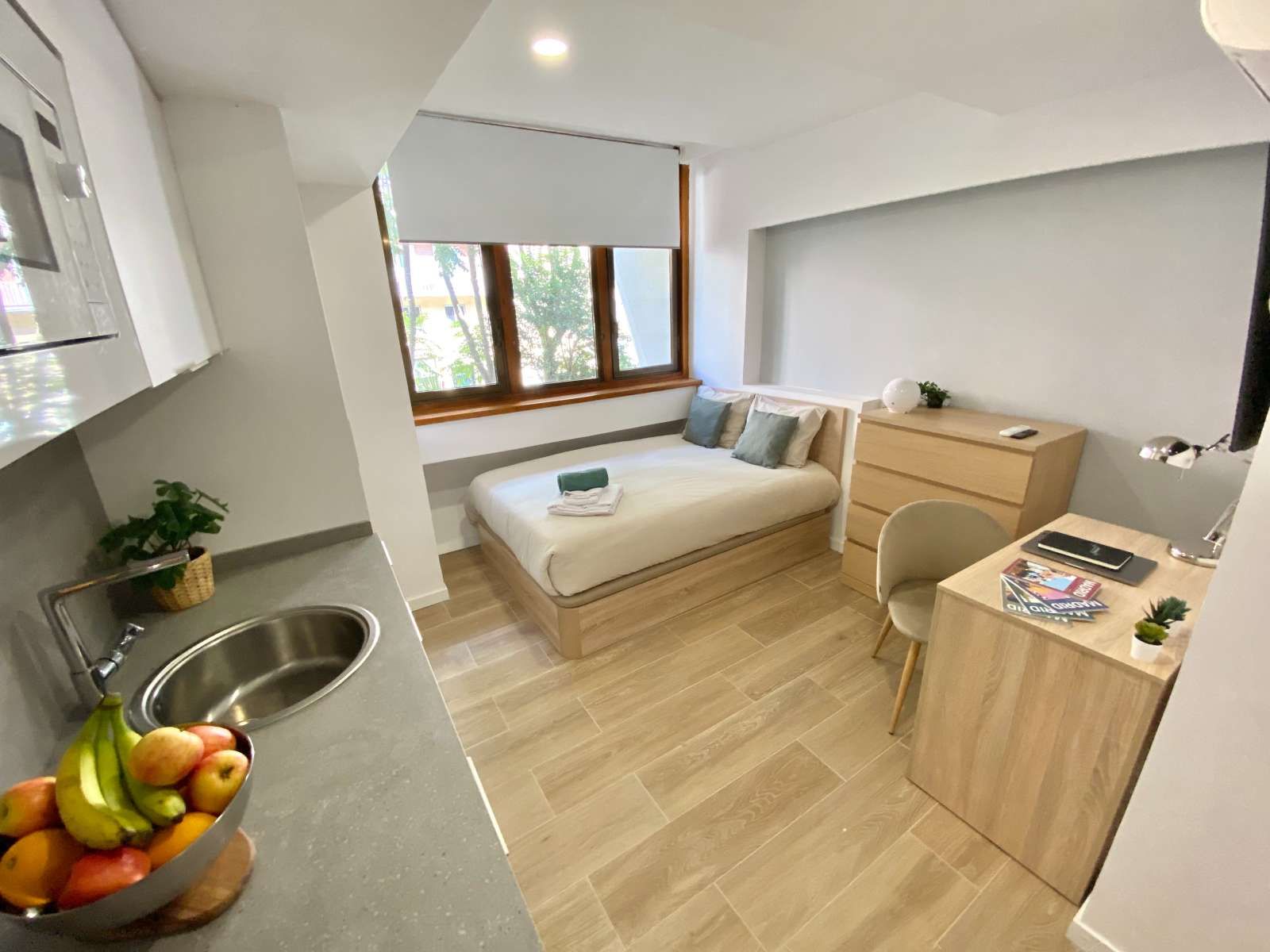 Study to share in Ciudad Universitaria