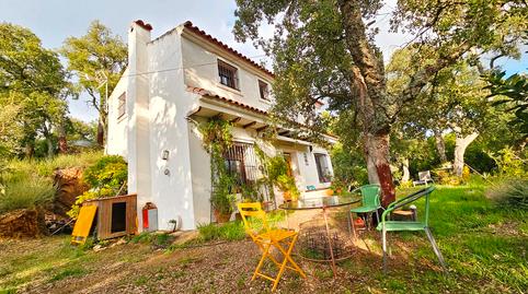 Foto 2 de Finca rústica en venta en Castaño del Robledo, Huelva