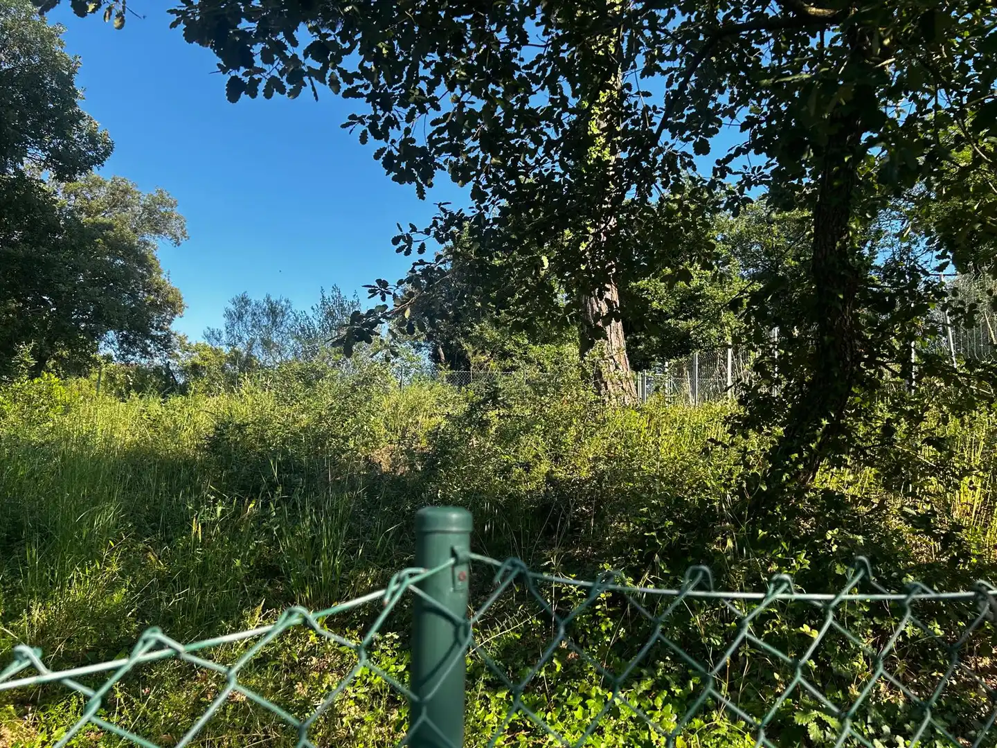 Residential land for sale in Residencial Park, imagen 18