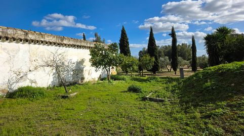 Foto 3 von Country house zum Verkauf in Marchena, Sevilla