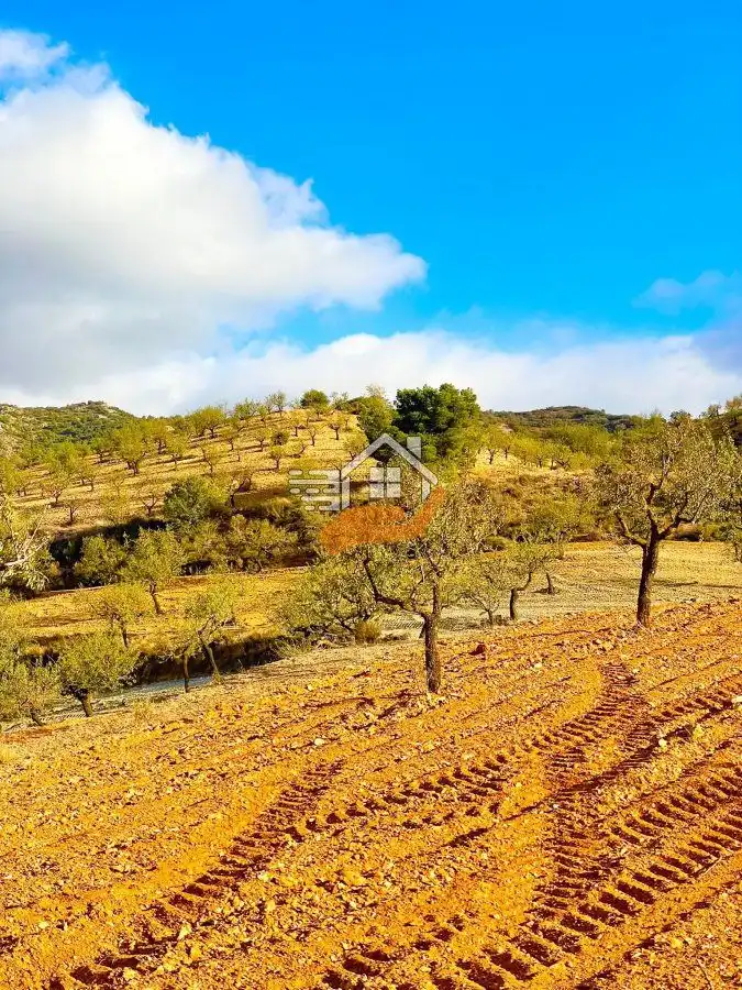 Residential land for sale in Vélez-Rubio, imagen 9