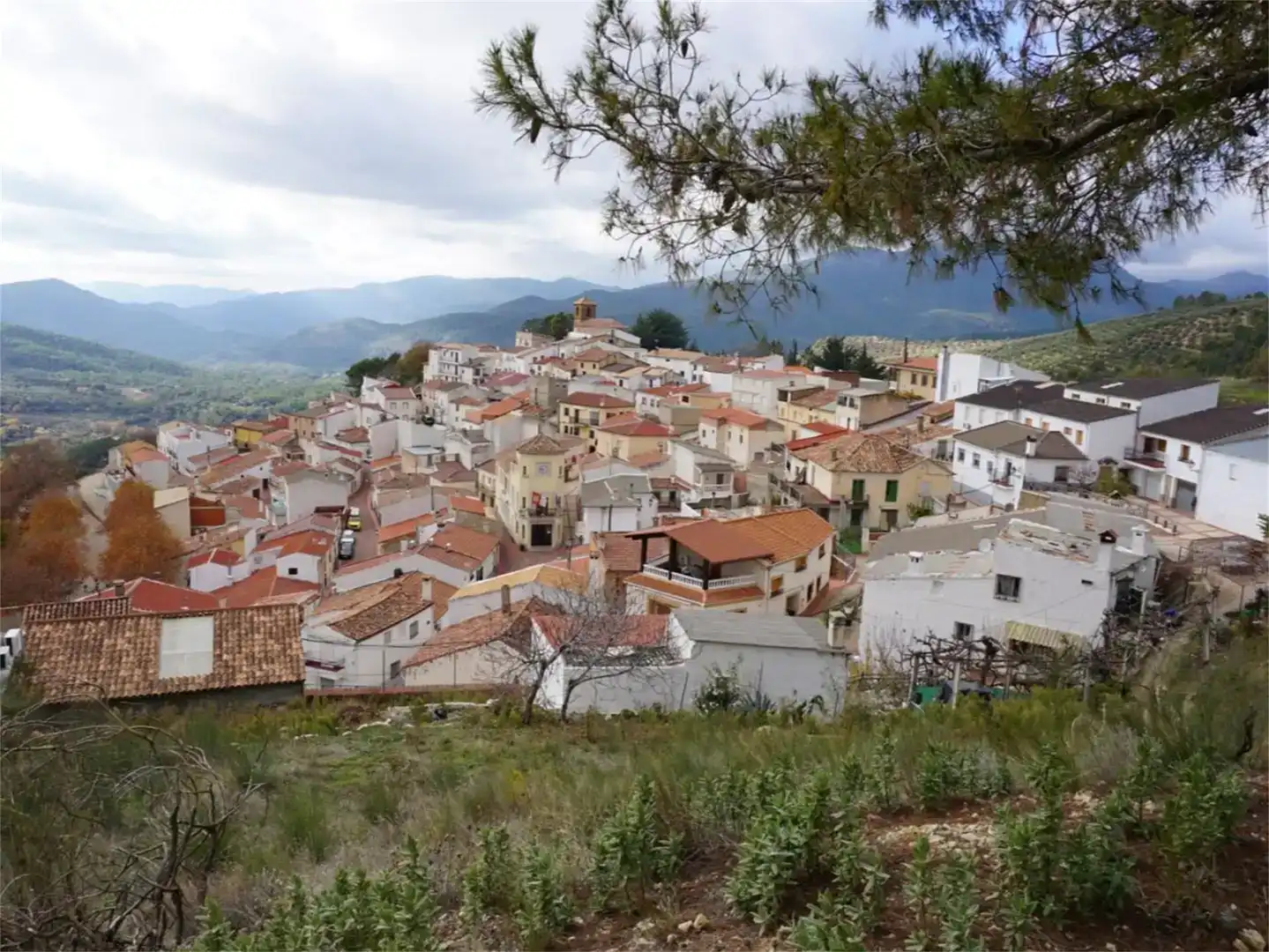 Vista exterior de Planta baixa en venda en Cotillas amb Moblat, Forn i Rentadora