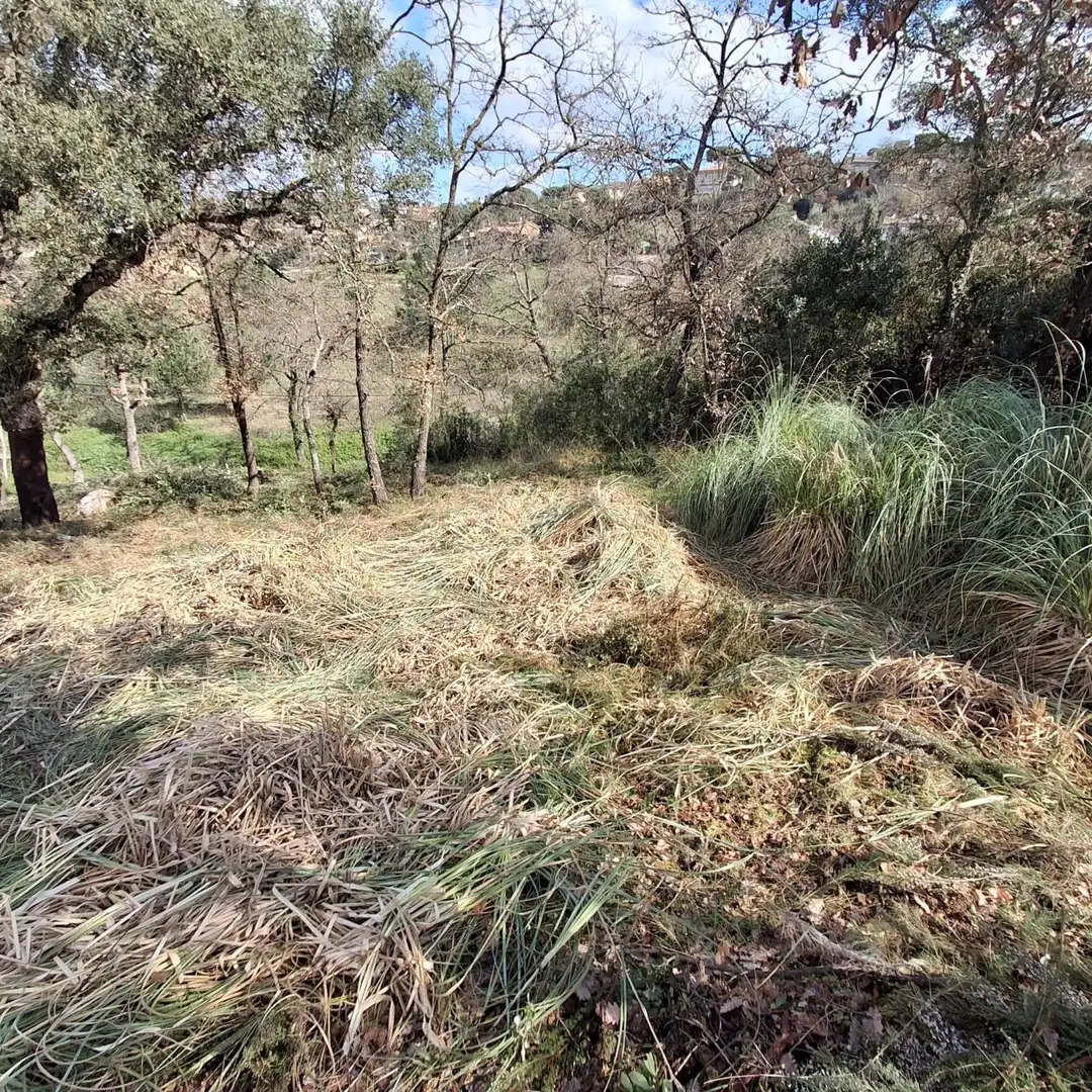 Terrenys i solars en venda a Maçanet de la Selva pueblo, imagen 9