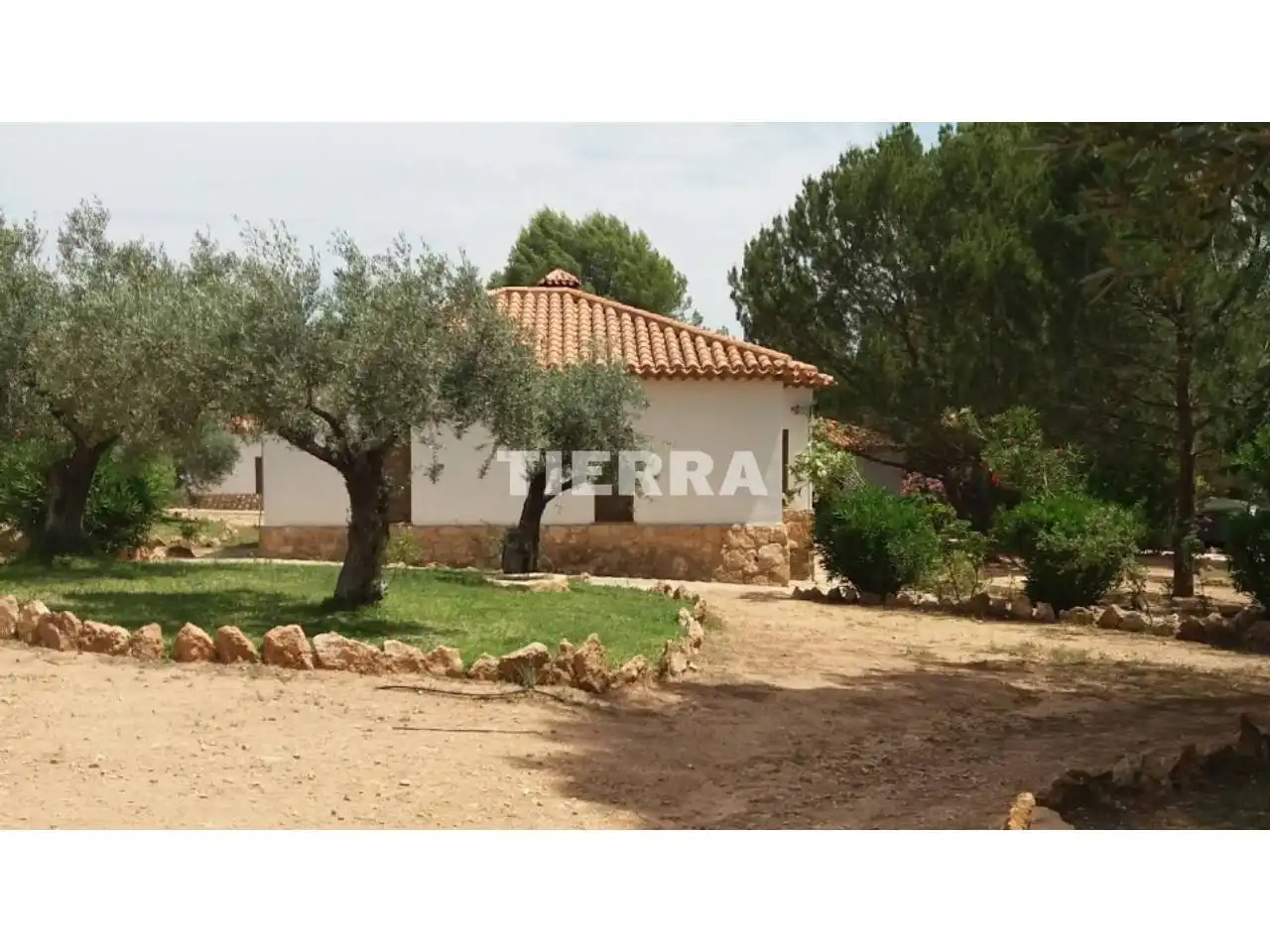 Exterior view of Buildings for sale in Socovos