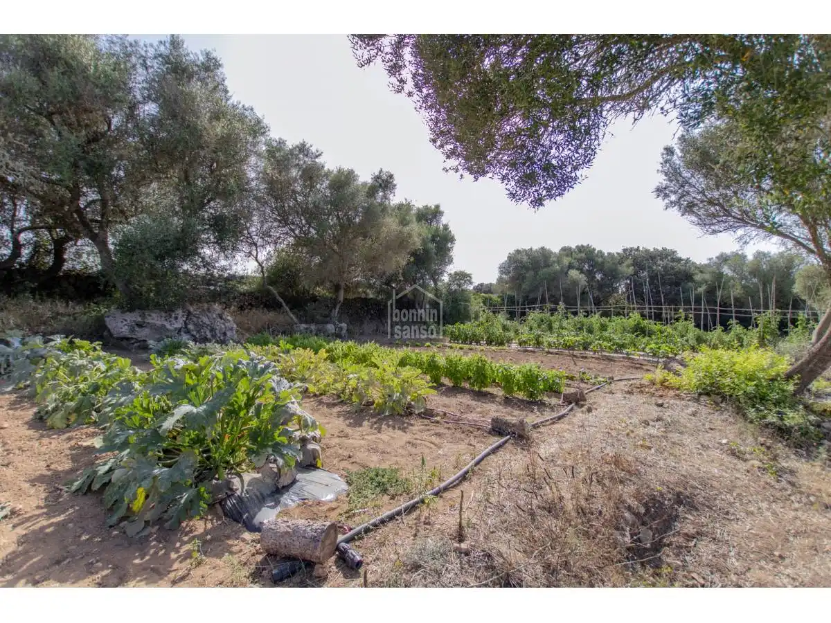 Detached house with pool for sale in Alaior poble, imagen 64