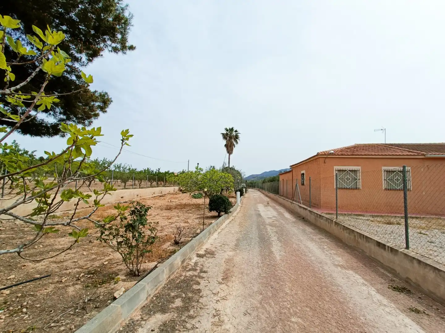 Villa in vendita a Hondón de los Frailes, imagen 8