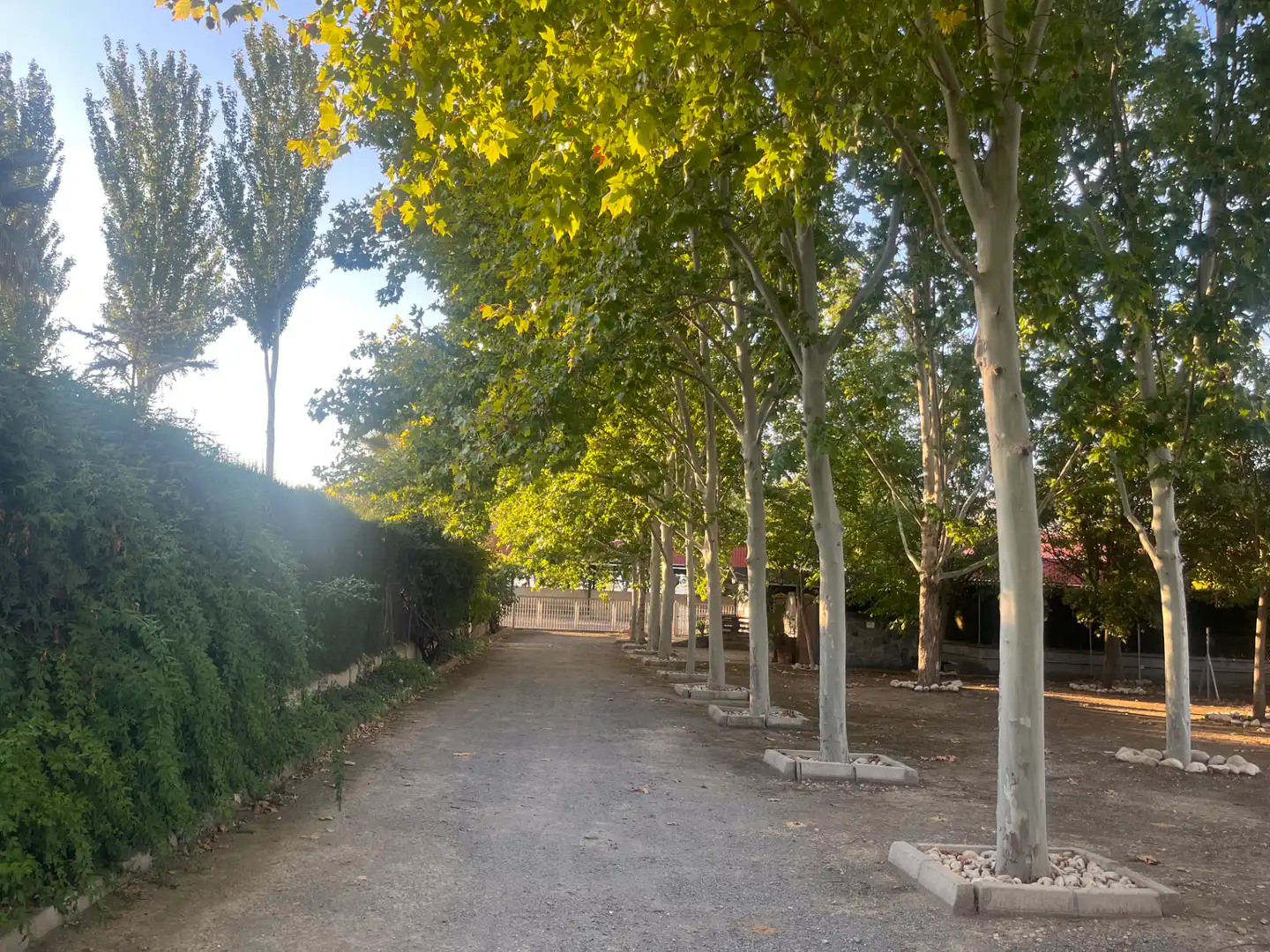 Industrial building for sale in Carretera de Córdoba, imagen 37