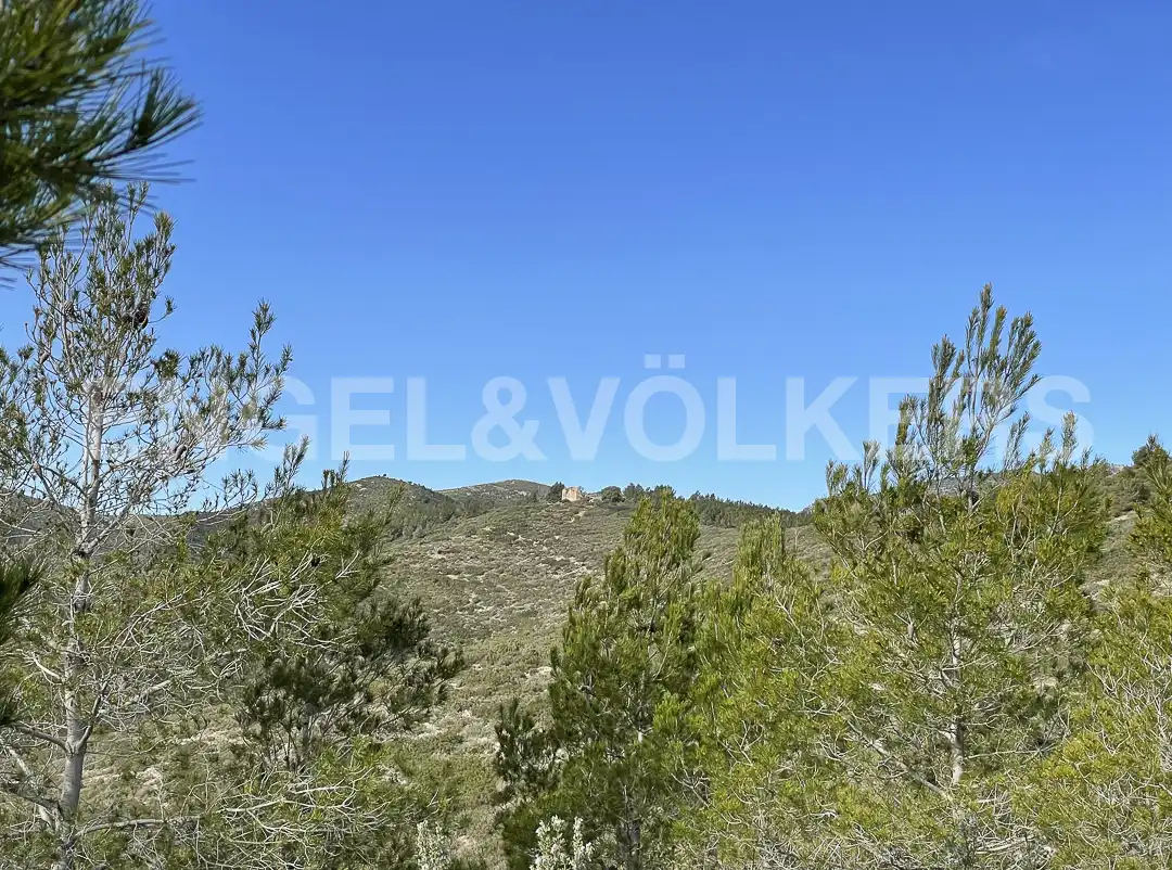 Country homes for sale in El Montmell  with Heating