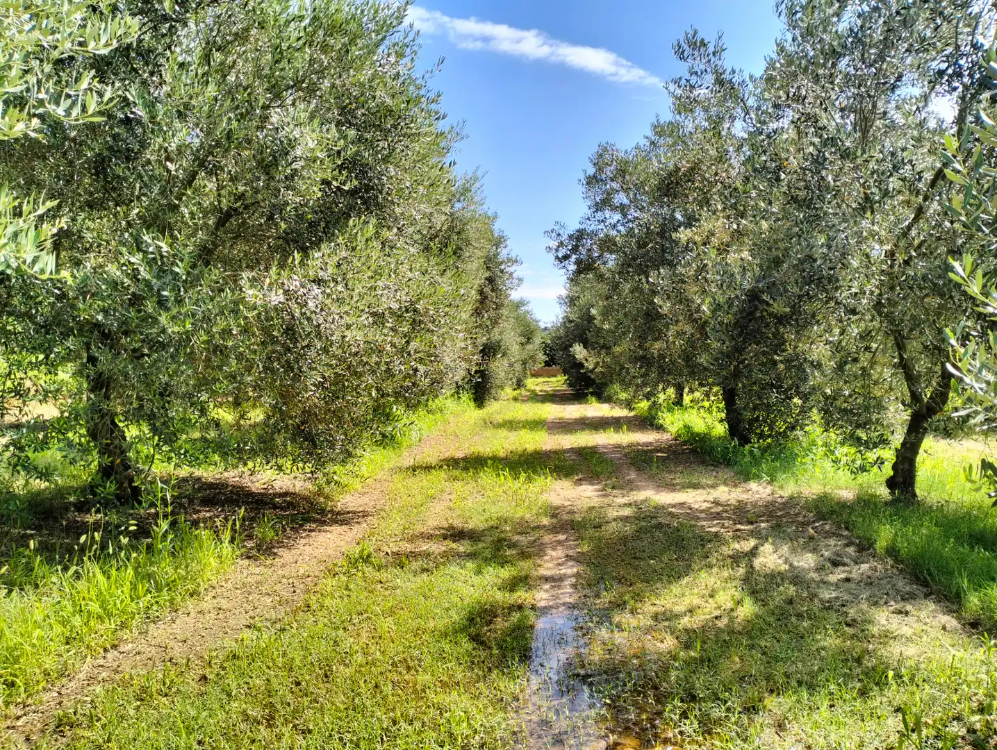 Casa o xalet en venda en Cervià de Ter amb Jardí privat, Terrassa i Balcó
