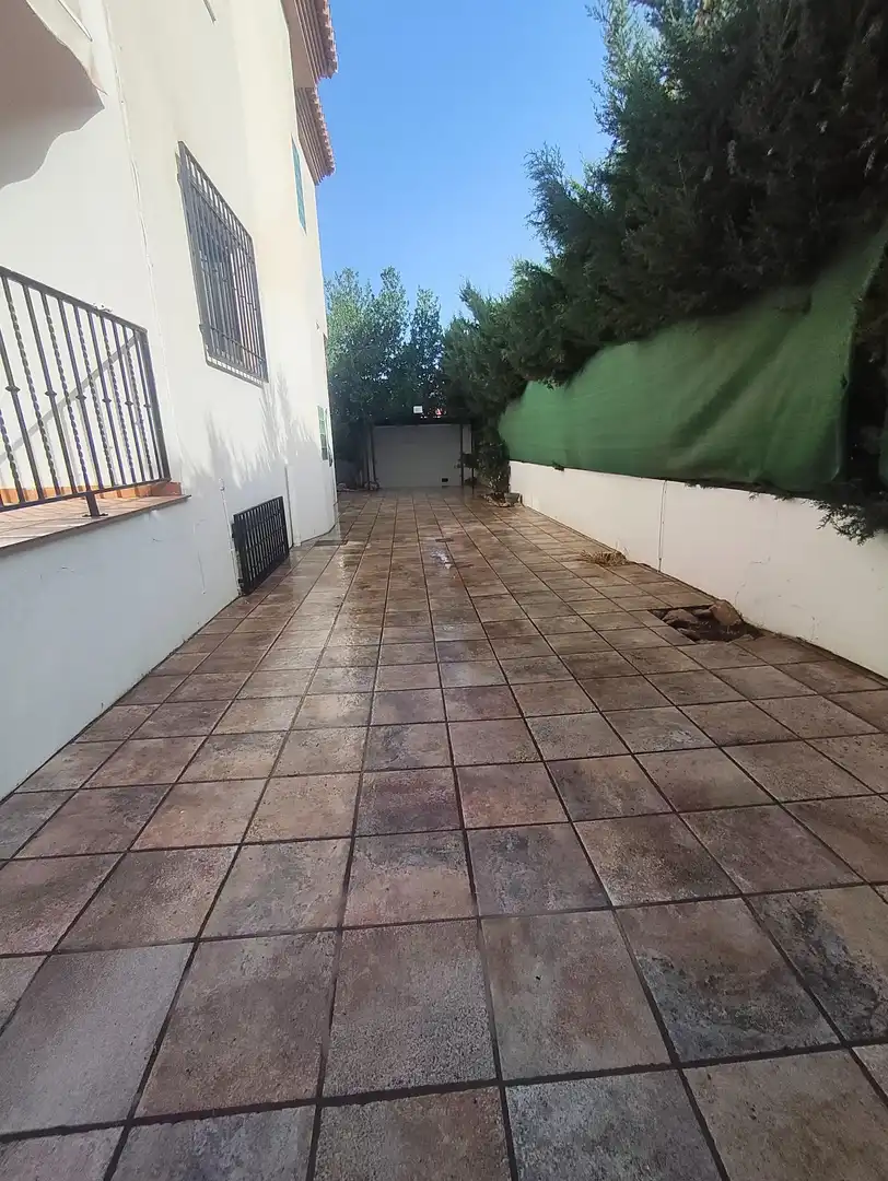 Haus mit Terrasse zur Miete in Residencial Triana - Barrio Alto, imagen 6