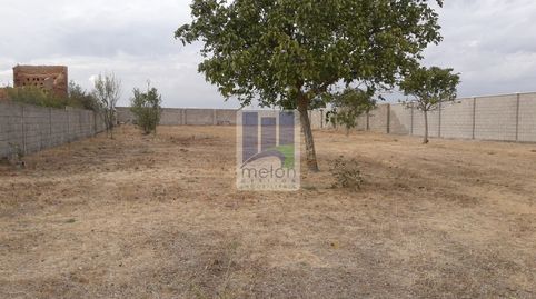 Foto 5 de Casa o chalet en venta en Grijalba, Grijalba, Burgos