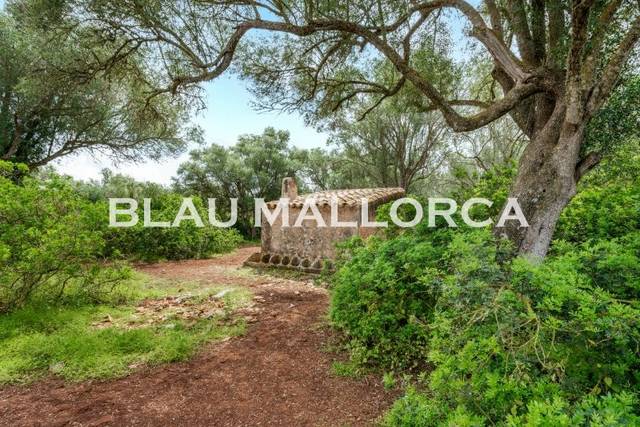 Terreno en Venta en Felanitx Poble