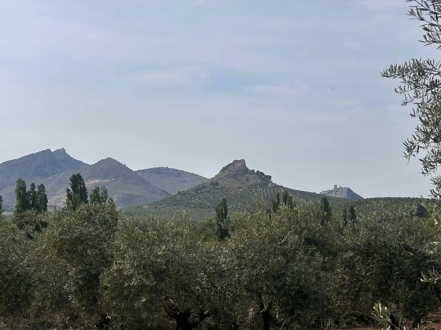 Finca rústica en venda en Jaén