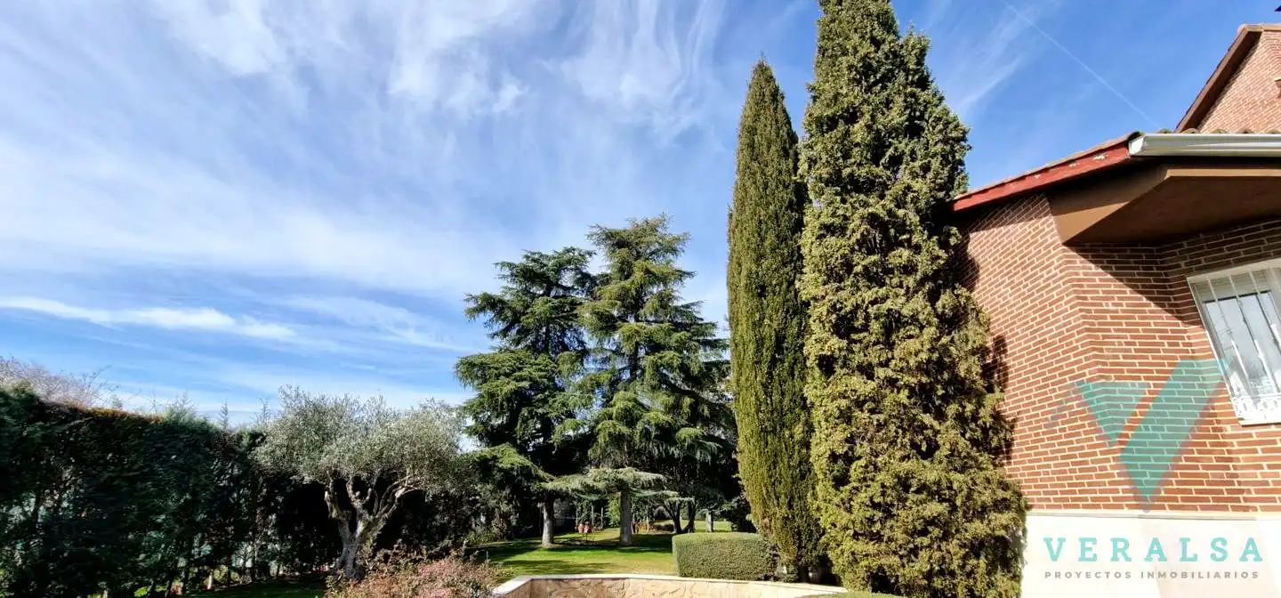 Casa o xalet en venda a Del Bonsái, Prado Norte