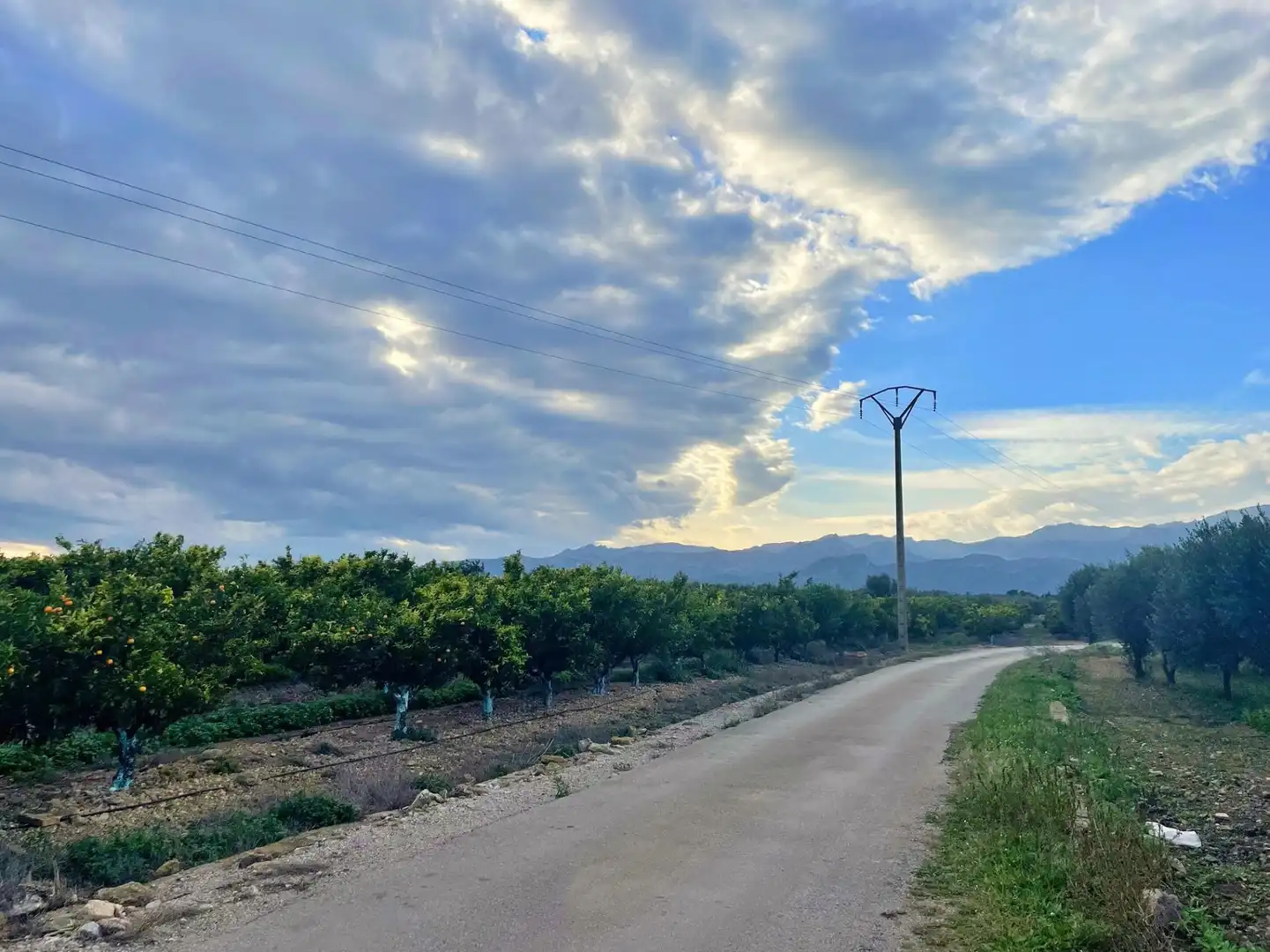 Casa o chalet en venta en Tortosa