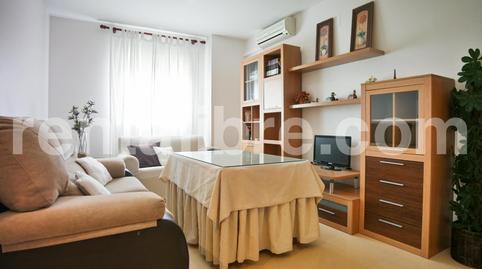 Foto 2 de Pis de lloguer a Chapín - Campus Universitario - Navinco, Cádiz