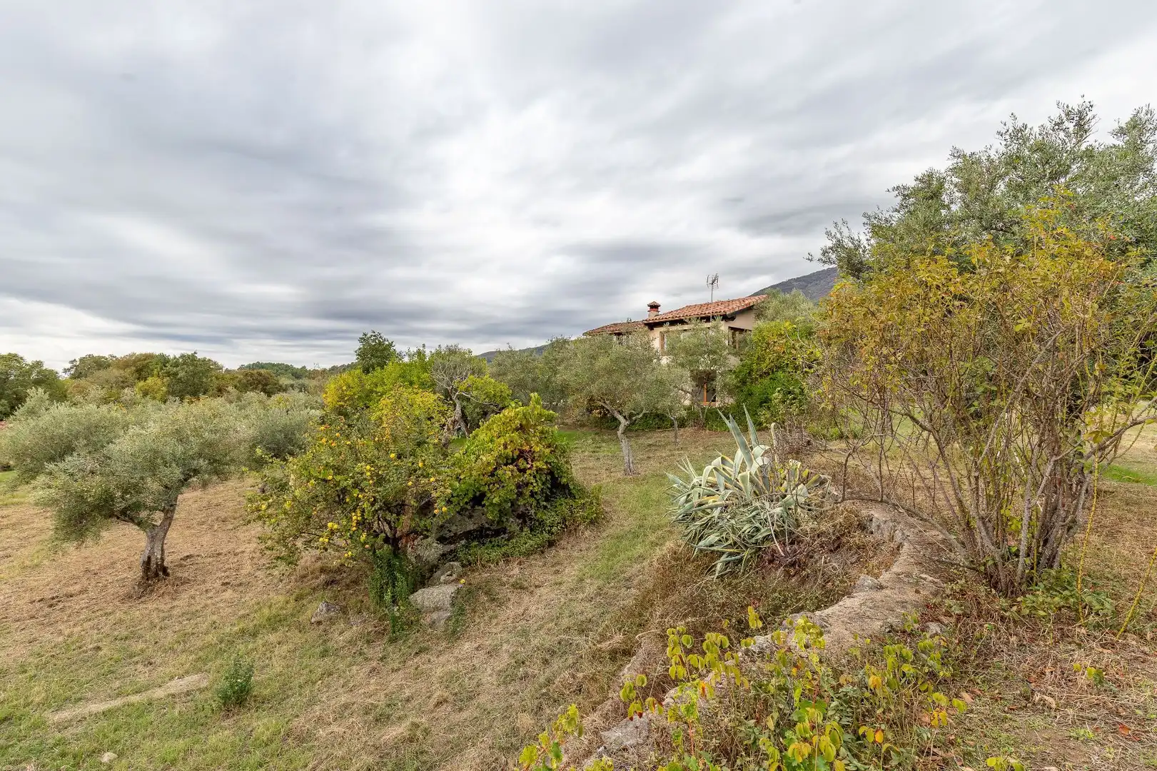 Terreni e lotti in vendita a Villanueva de la Vera, imagen 38