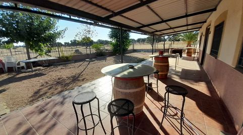Foto 4 de Finca rústica en venda a Carretera Tirteafuera, 5, Almodóvar del Campo, Ciudad Real