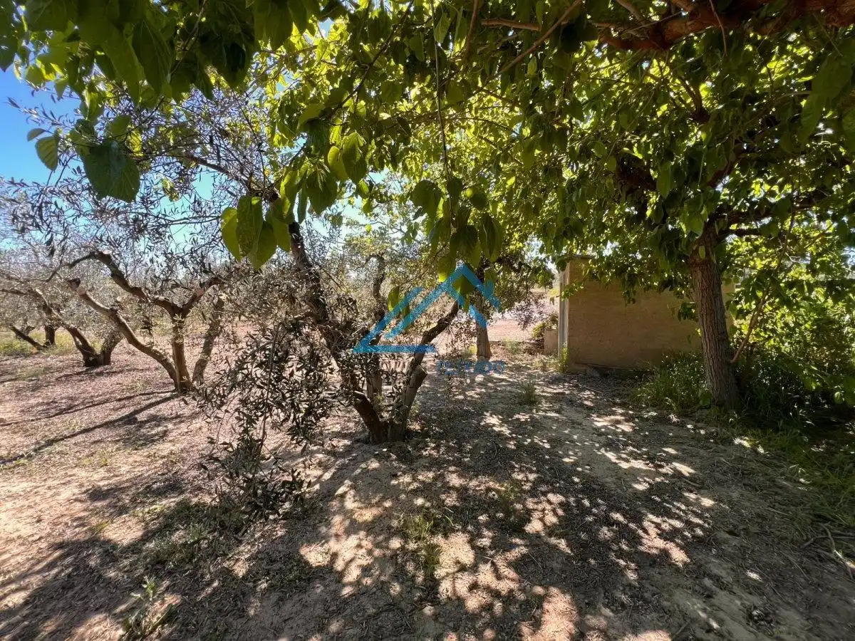 Land for sale in Vinyols i els Arcs