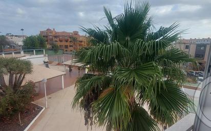 Terrassa de Apartament en venda en San Miguel de Abona amb Balcó i Piscina comunitària