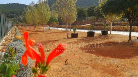 Foto 4 von Geschaftsraum zum Verkauf in Camino Deposito, Llíber, Alicante