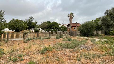 Foto 3 de Casa o xalet en venda a N/a, -1, Pelagatos - Pago del Humo, Cádiz