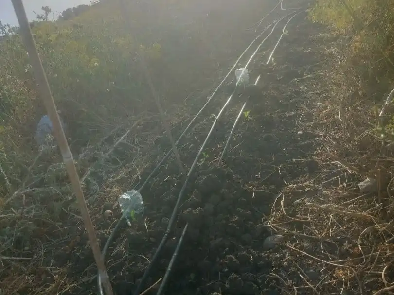 Grundstücke zum Verkauf in Rota