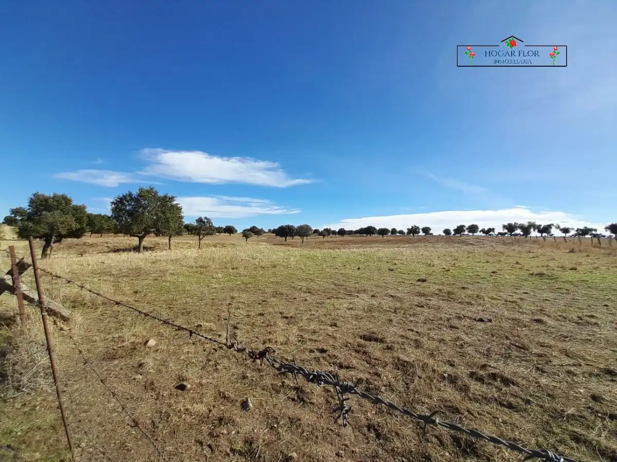 Finca rústica en venta en Carrascal del Obispo