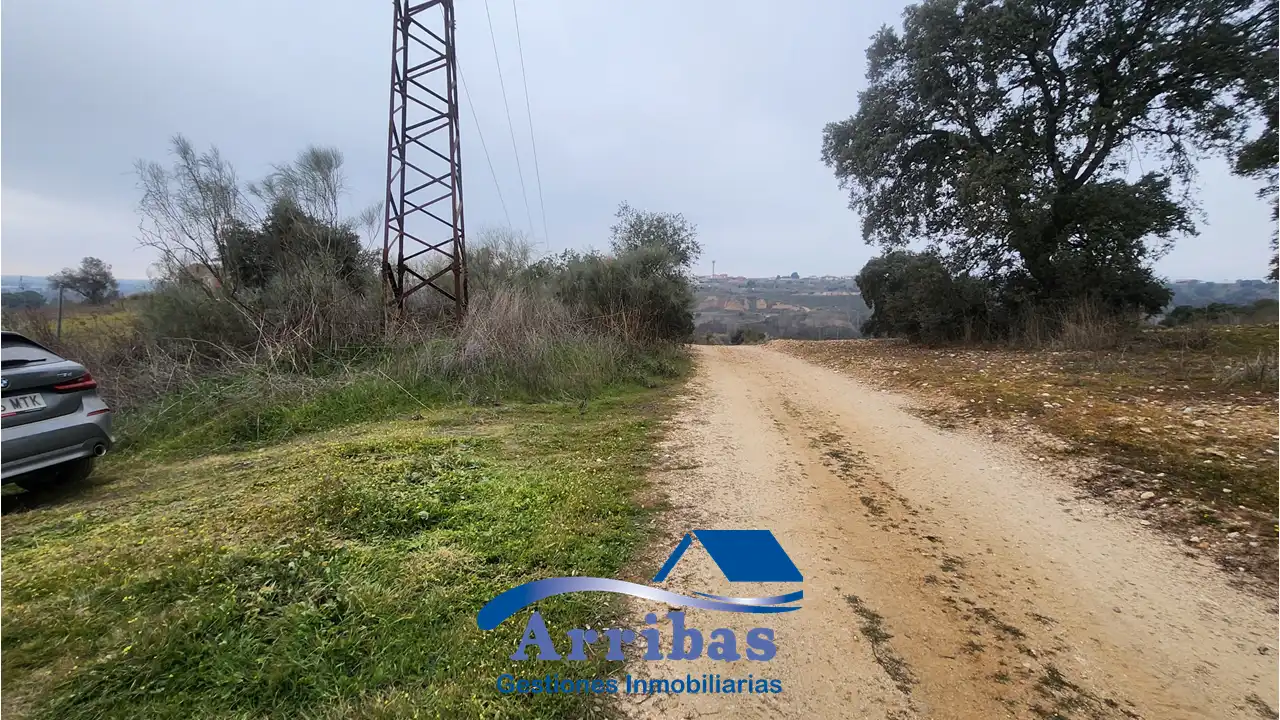 Country homes for sale in Escalona