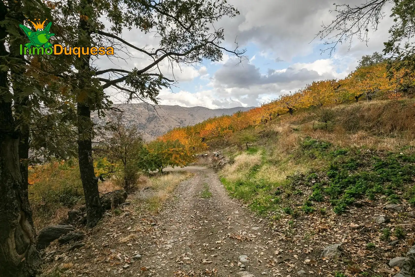Casa rústica en venda a Güéjar Sierra, imagen 9