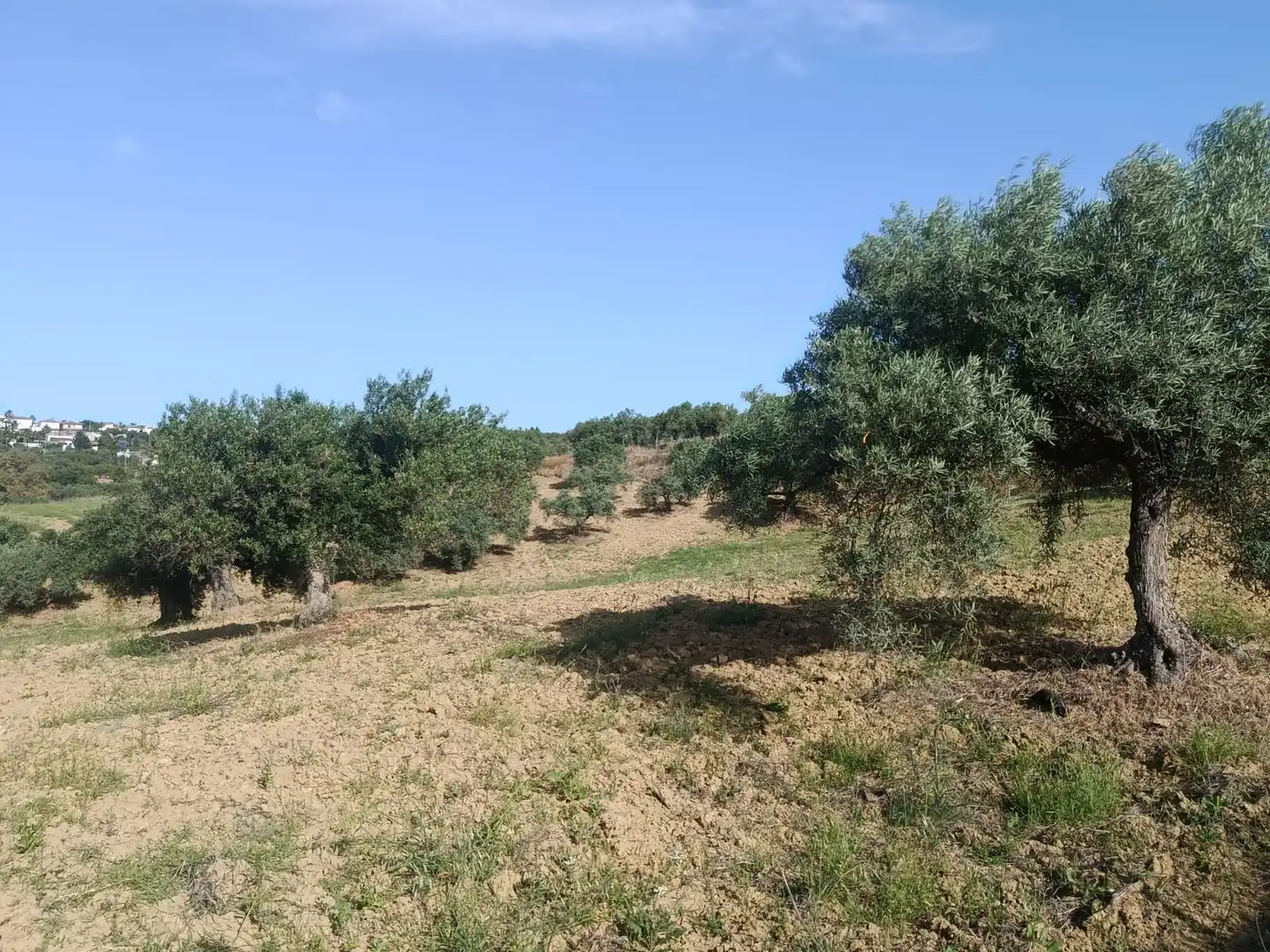 Terreni e lotti in vendita a Alquería - Torrealquería, imagen 2
