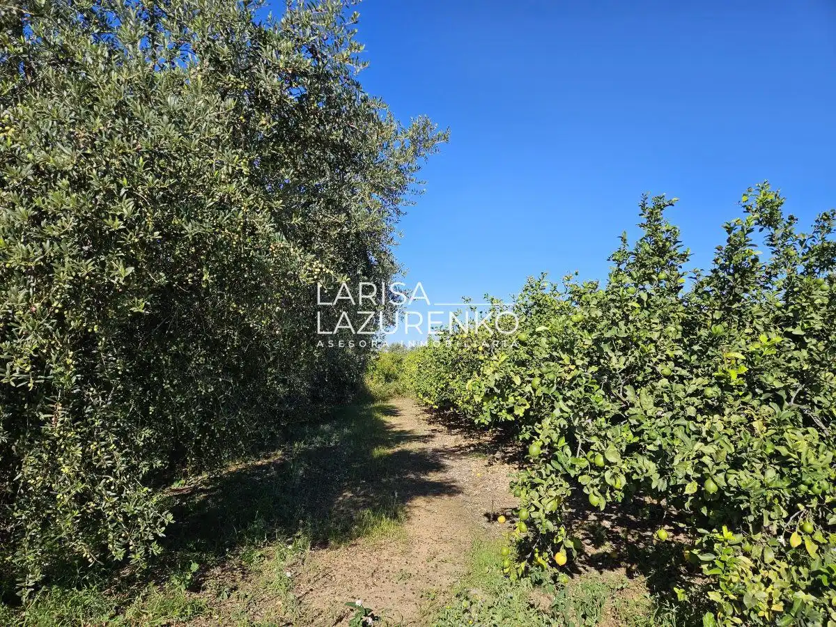 Finca rústica en venda en Vinyols i els Arcs