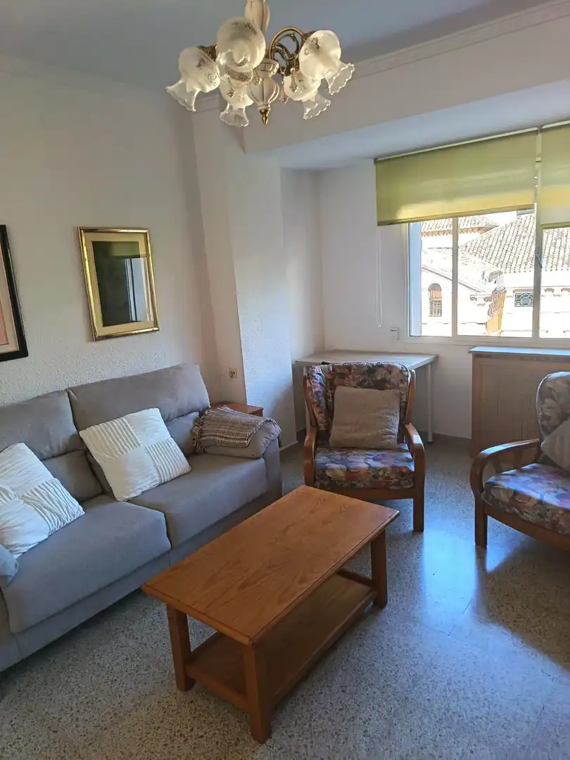 Sala de estar de Piso de alquiler en Granada