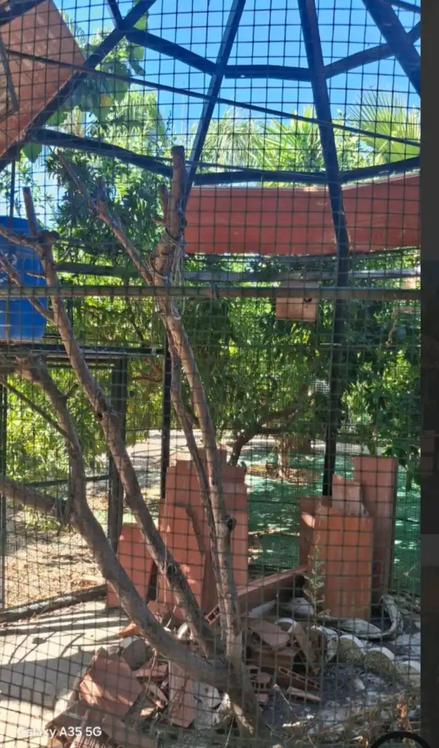Casa rústica amb piscina en venda a Camino del Tollo, imagen 15