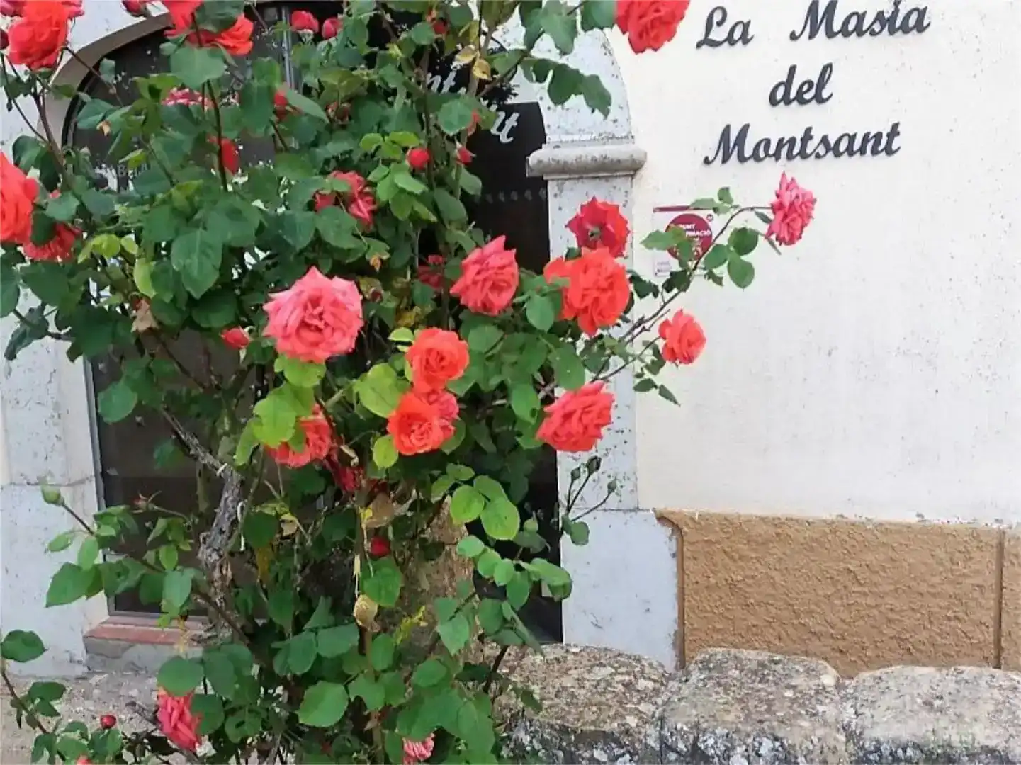 Vista exterior de Pis en venda en Cornudella de Montsant amb Jardí privat, Moblat i Balcó