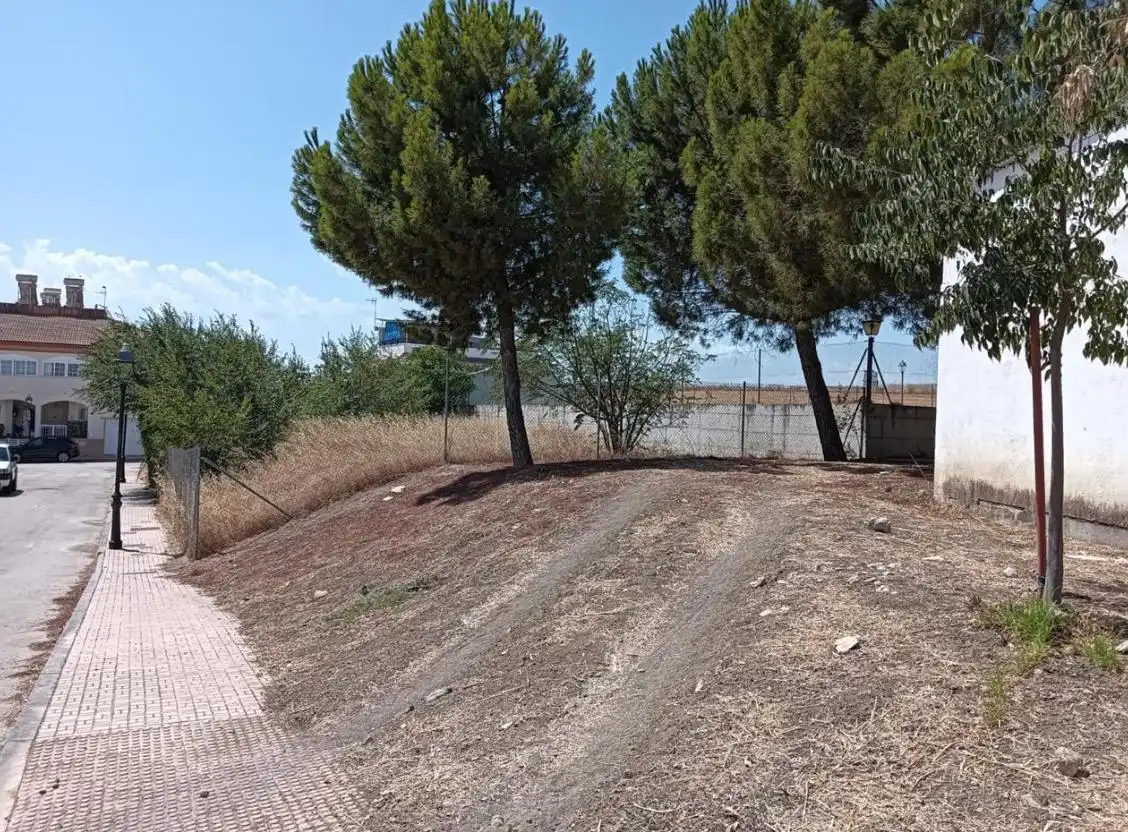 Terreni e lotti in vendita a Infanta Carlota, imagen 5