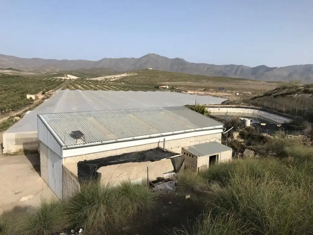Terreny rústic en venda a Uleila del Campo