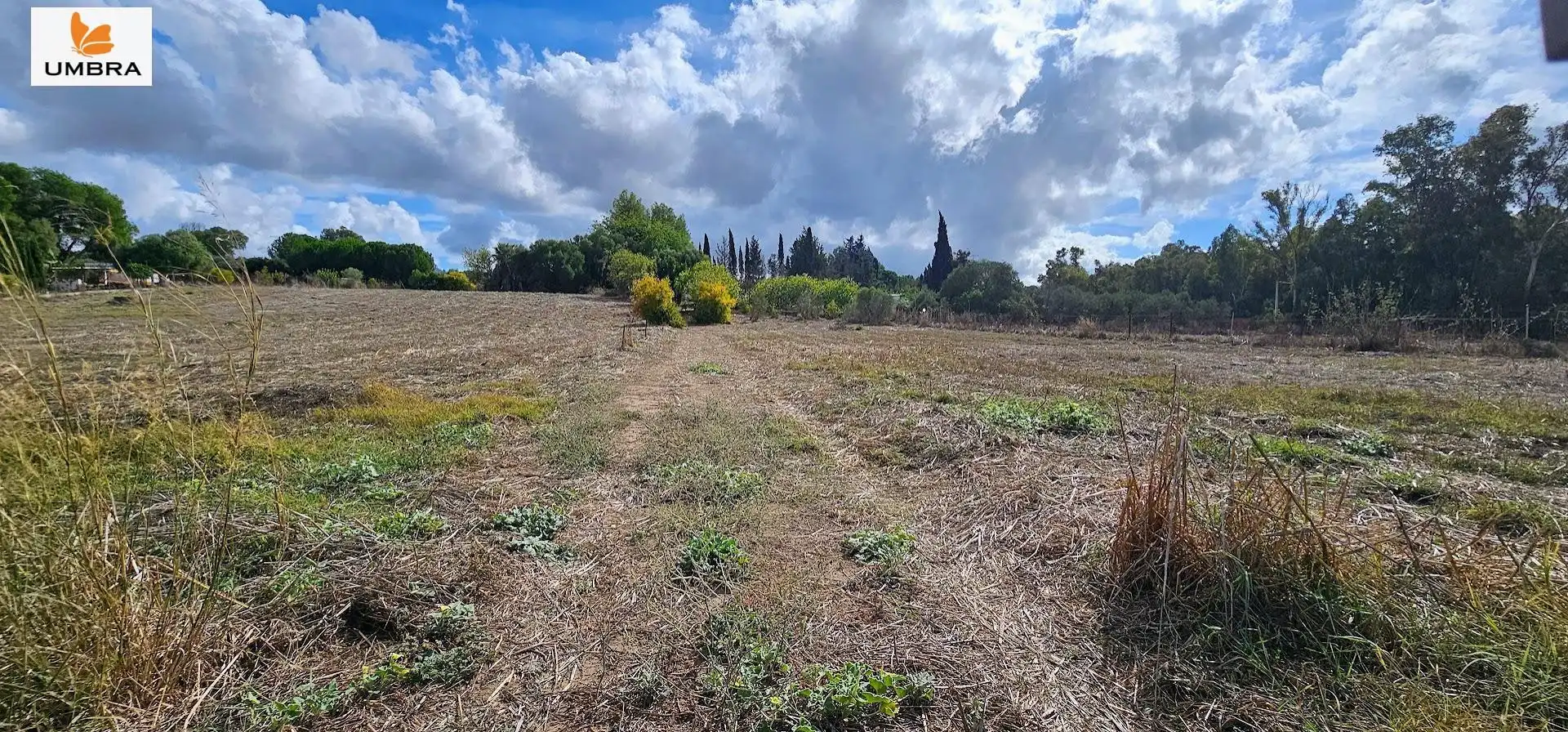 Houses for sale in Jerez de la Frontera