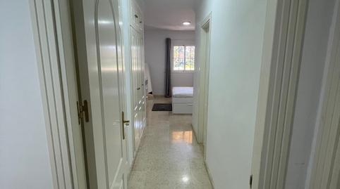 Foto 4 de Planta baixa de lloguer a Valeriano Rodriguez-elvir, Santa María, Málaga