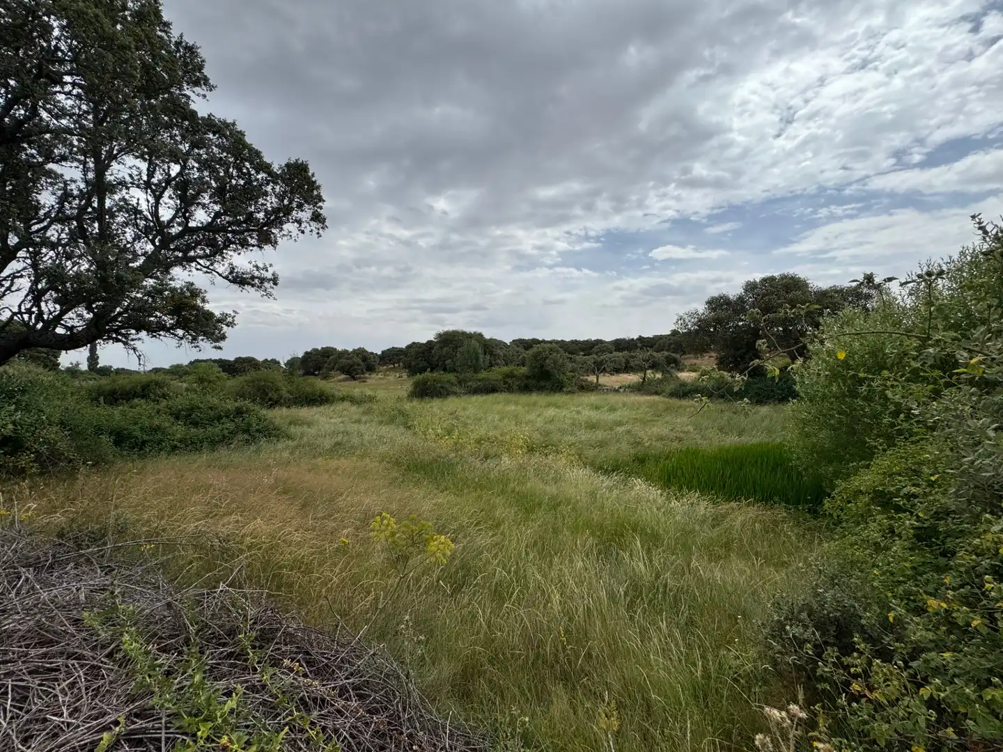 Terreno en venta en Añover de Tormes