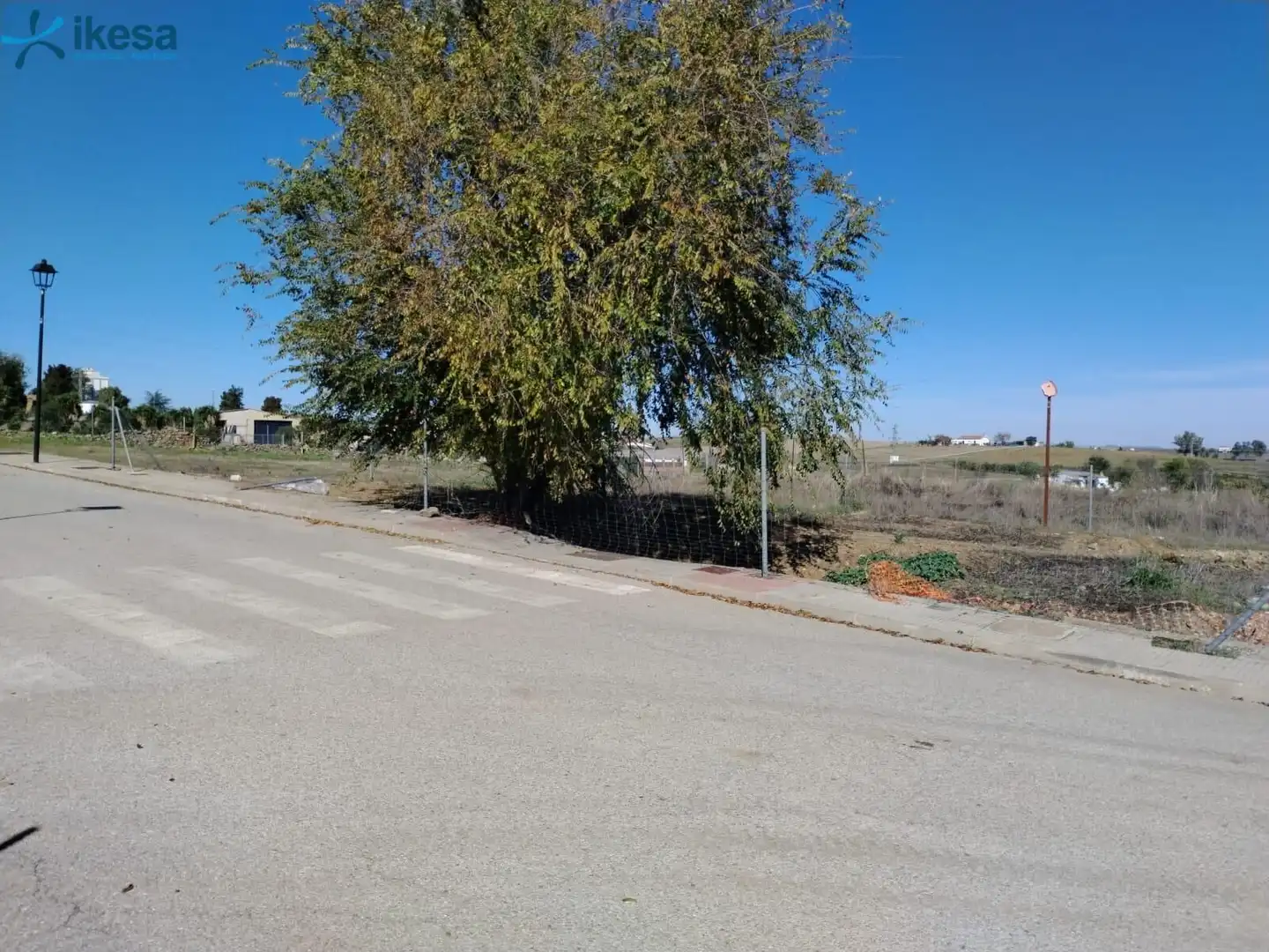 Terreni e lotti in vendita a Azuaga, imagen 6