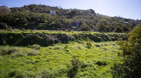 Photo 3 of Country homes for sale in Carretera Carretera Corumbela, Árchez, Málaga