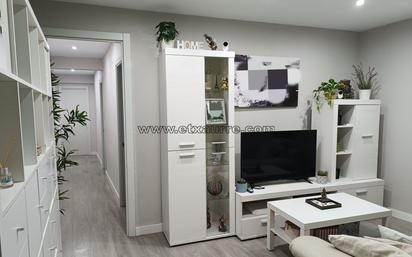 Living room of Flat for sale in Laudio / Llodio