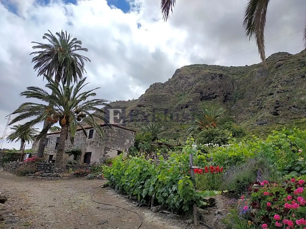 Country homes for sale in Buenavista del Norte