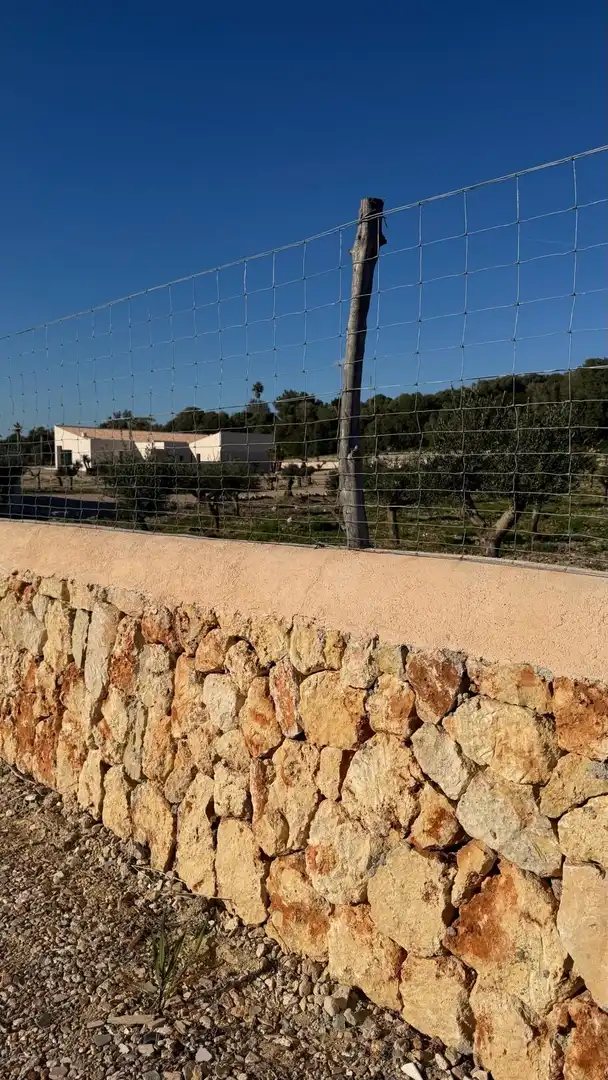 Vista exterior de Finca rústica en venda en Manacor amb Aire condicionat, Calefacció i Traster